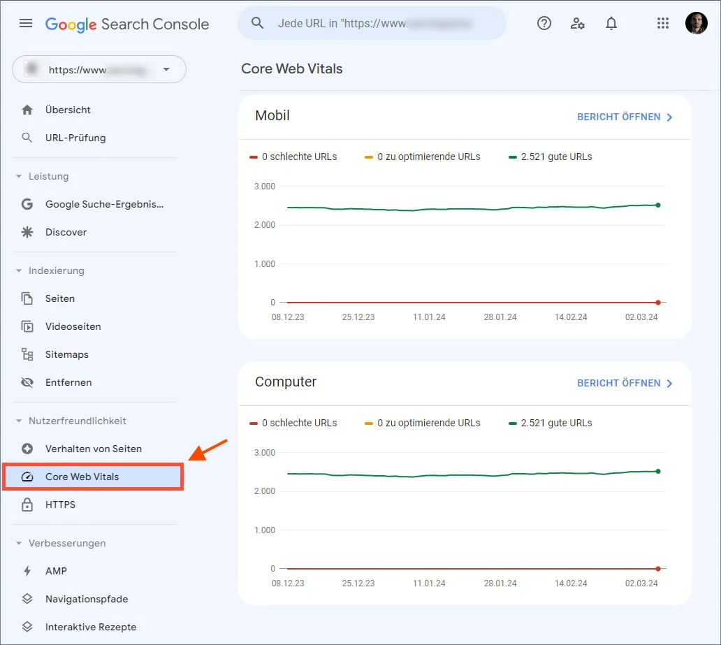 Google Search Console: Core Web Vitals Report