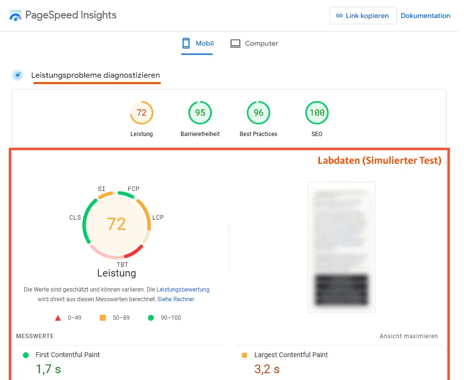 Labdaten im Pagespeed Insights Bericht